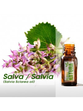 Salva / Salvia - Óleo Essencial